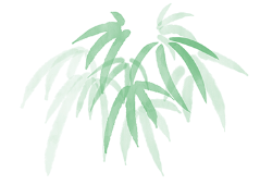 青年夜校 | “扇”遇非遺：傳統工藝與青春創意的雙向奔赴:工藝扇
